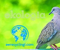 AKW Recyclingi Ekologia